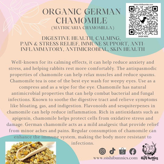 Premium Organic Herbs_11