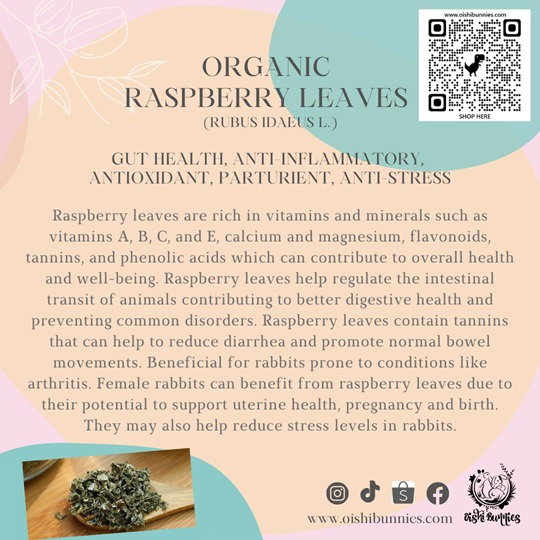 Premium Organic Herbs_9