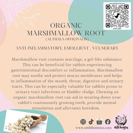 Premium Organic Herbs_8