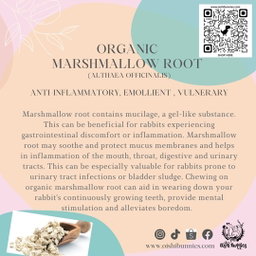 Premium Organic Herbs