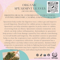 Premium Organic Herbs