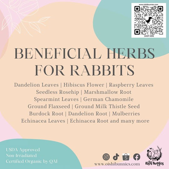 Premium Organic Herbs_0