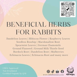 Premium Organic Herbs