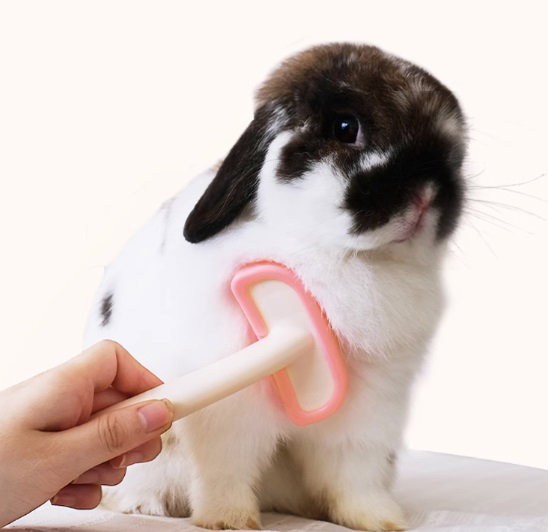 Silicone Soft Tip Massage/Deshedding Slicker Brush
