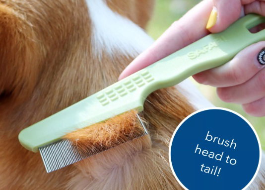 Safari Flea Comb (Double Row)_2