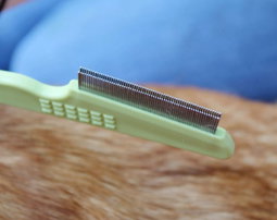 Safari Flea Comb (Double Row)
