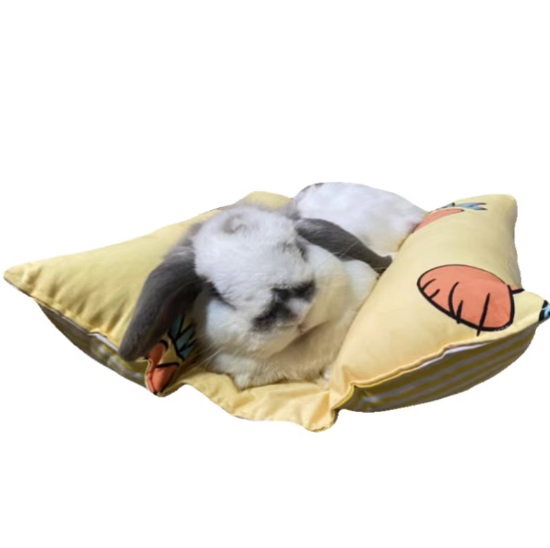 Kiap Kiap Pillow _7