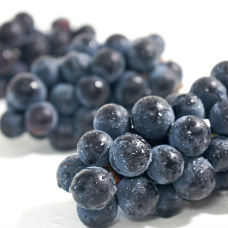 Korea Campbell Grapes (1.5kg 5-6bundle) 캠벨포도