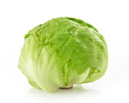 Lettuce(salad)