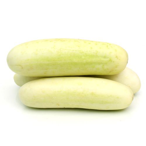 Cucumber 250g_0