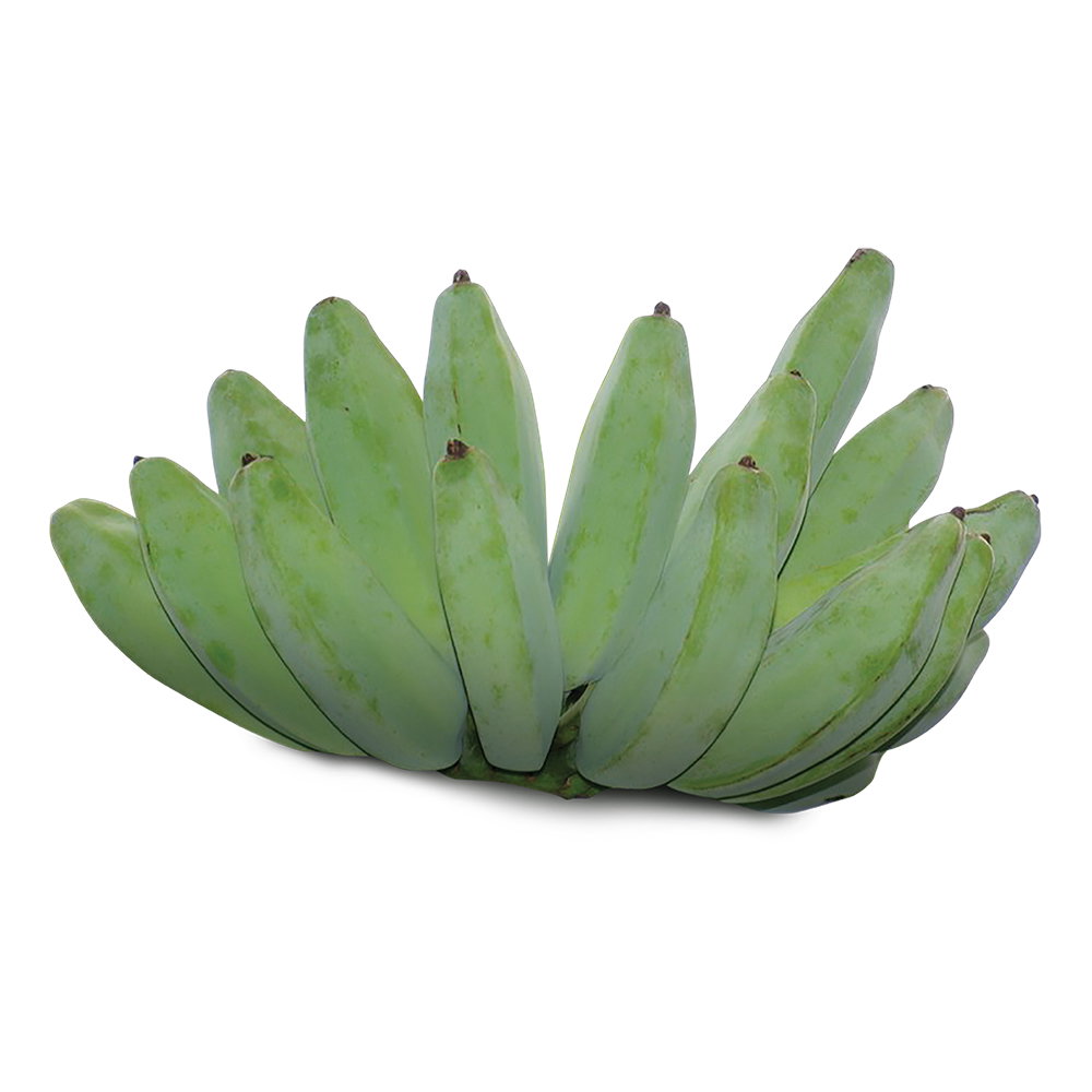 Ash Plantains 250_0