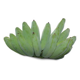 Ash Plantains 250