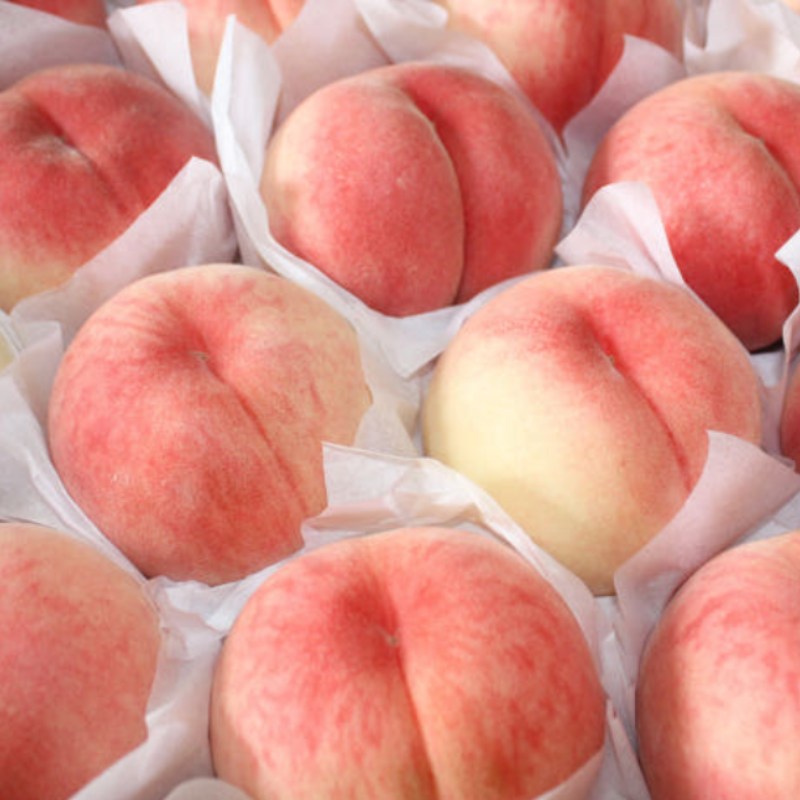 Korea Firm Peach 1.5kg (5-6piece) 딱딱이복숭아