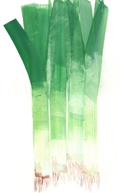 leek_0