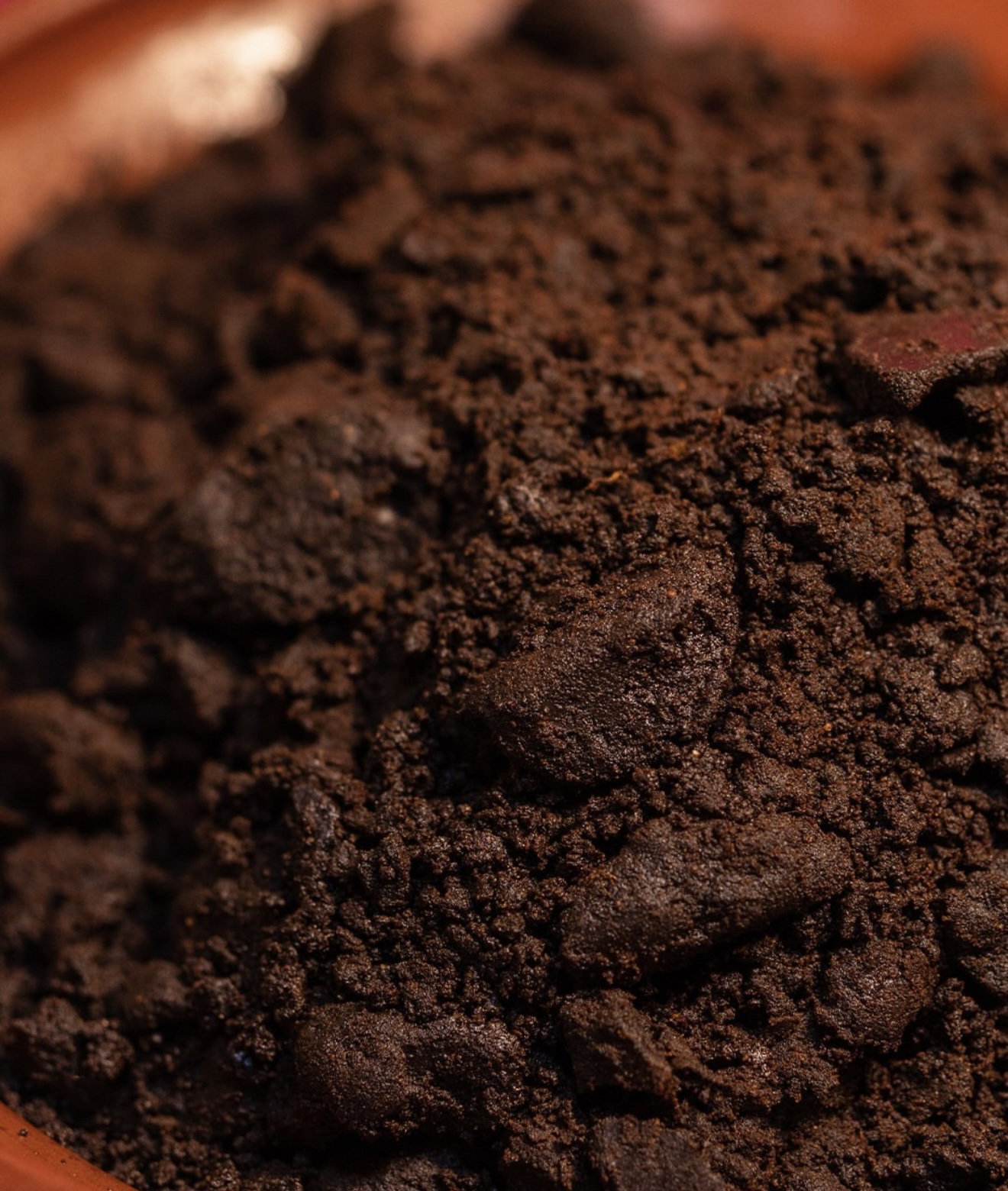 Mole Oaxaca _0
