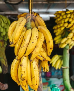 Platanos Maduros