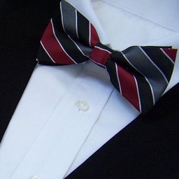 noeud-papillon old school tendance vintage