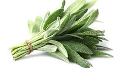 Sage
