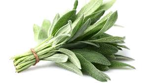 Sage