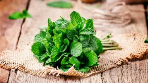 Mint leaves 