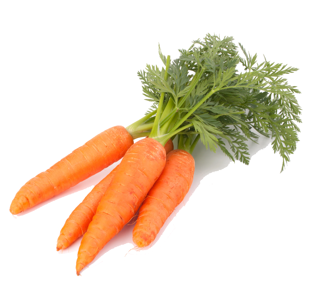 Carrot _0