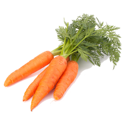 Vegetable 
