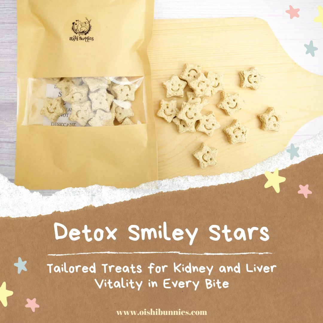 Blind Box Cookies (Oat Based)_4