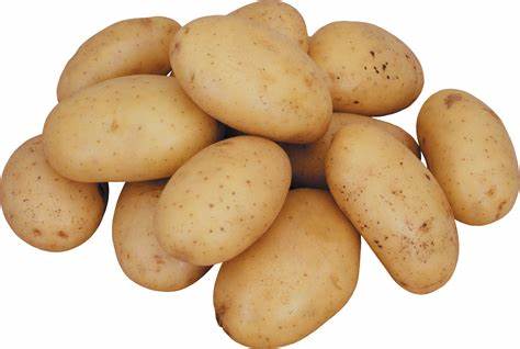 Potato _0