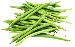 Herbs 