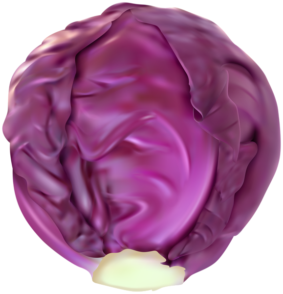redcabbage_0