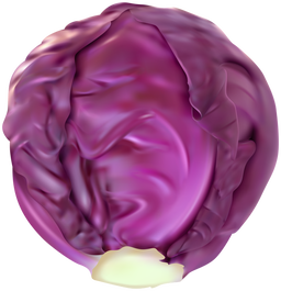 redcabbage