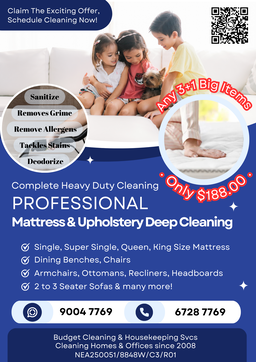 Professional Steam Cleaning Service