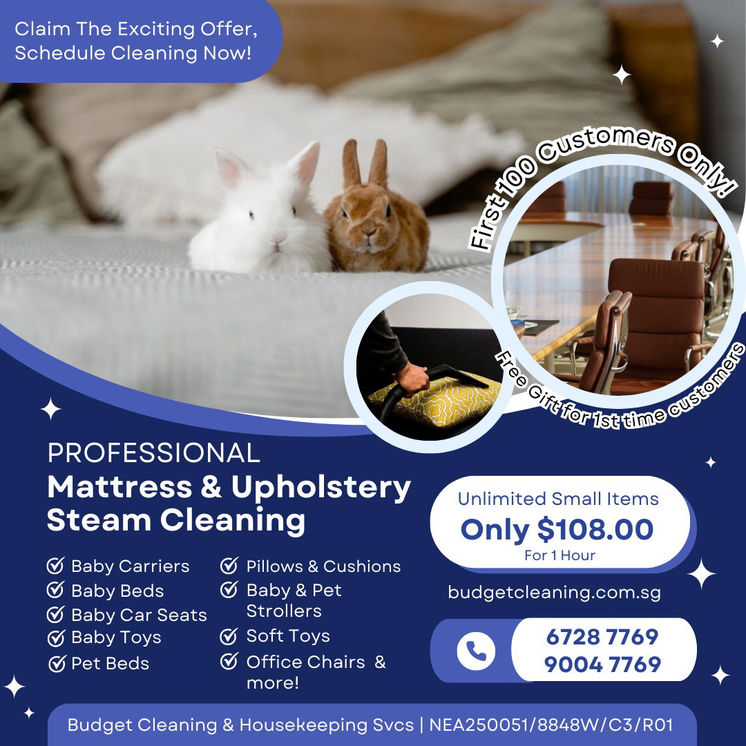 Professional Steam Cleaning Service_0