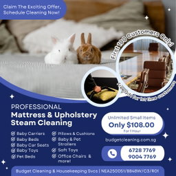 Cleaning & Homeware