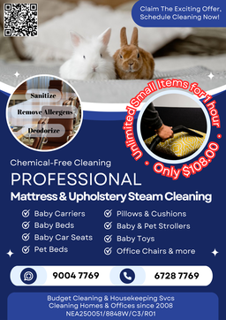 Professional Deep Cleaning Service