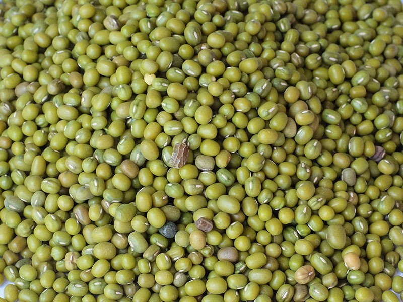 Маш 1кг