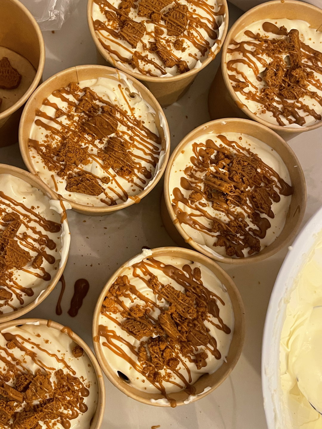 Speculoos