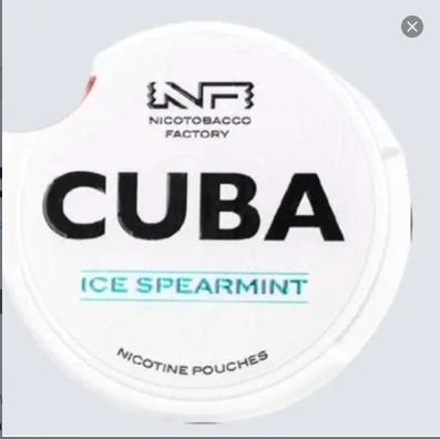 Cuba Ice Spearmint Nic Pouch - 10.4 mg/p _0