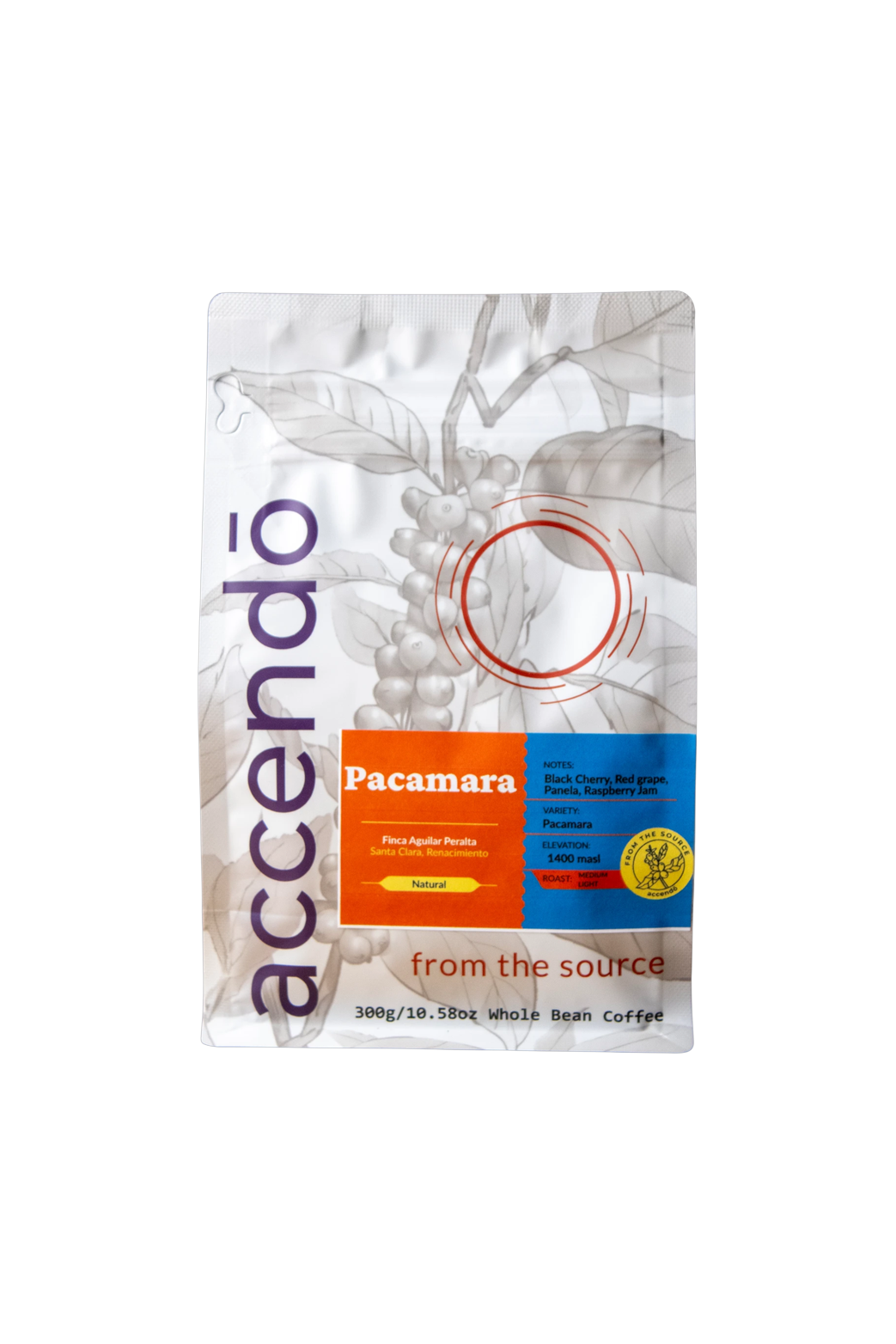 (Limited) Pacamara Aguilar Peralta / Pacamara Aguilar Peralta