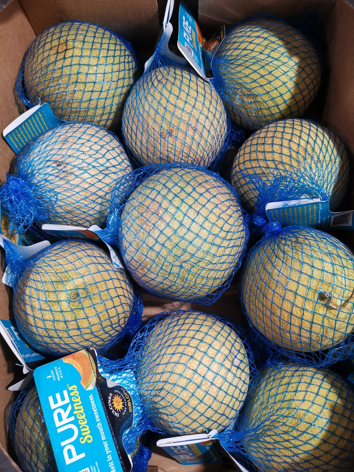 USA Kiss Melon_0