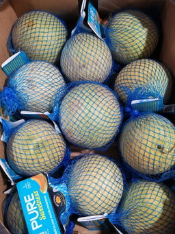 USA Kiss Melon