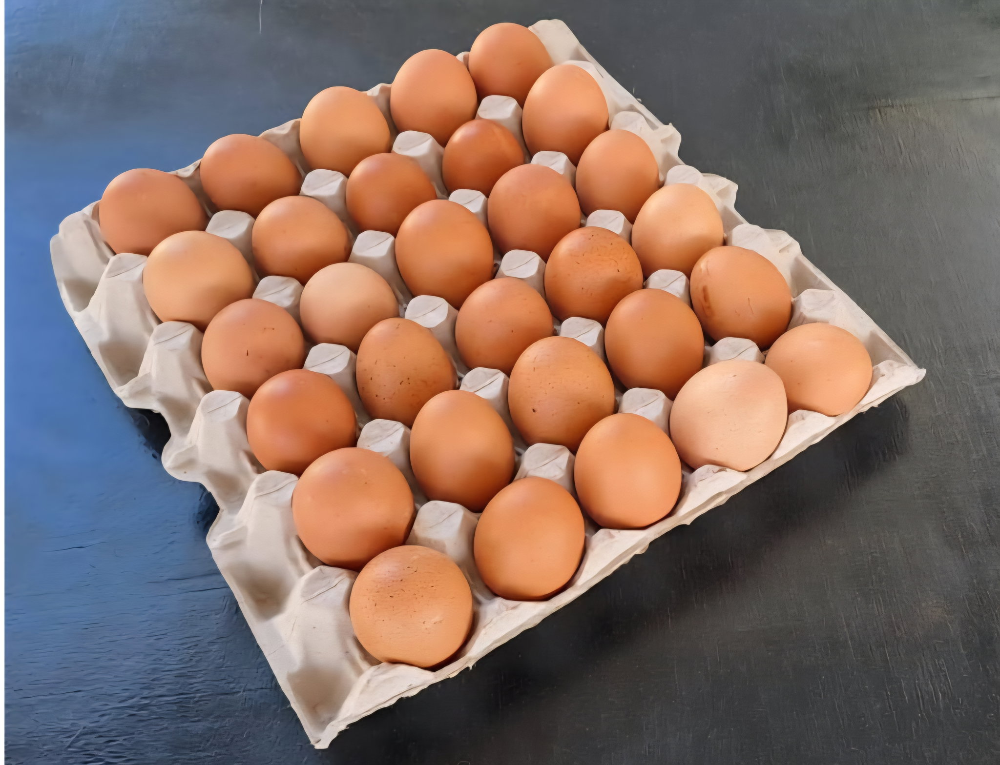 LARGE EGGS >51g_0