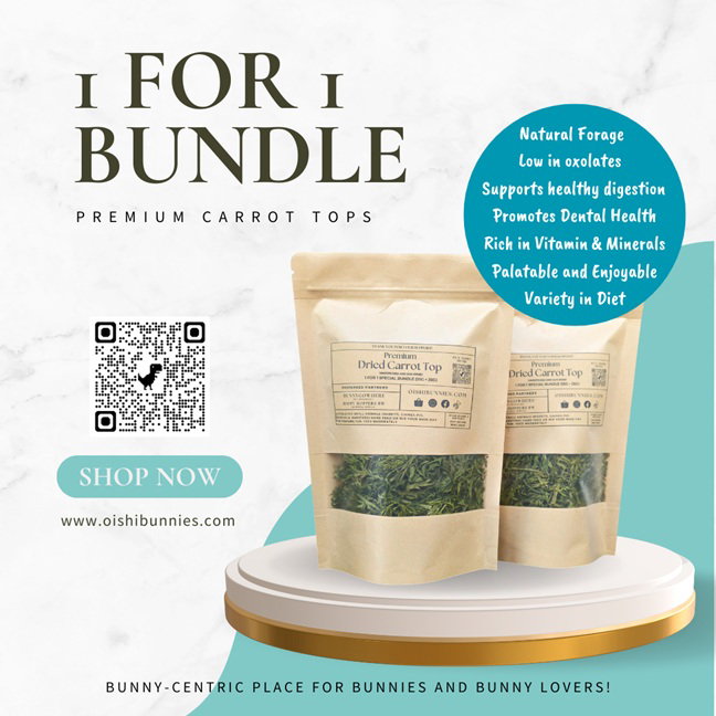 1 For 1 Bundle & Value Pack- Premium Dried Carrot Top (35g + 35g & 140g)_0
