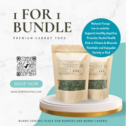 1 For 1 Bundle & Value Pack- Premium Dried Carrot Top (35g + 35g & 140g)