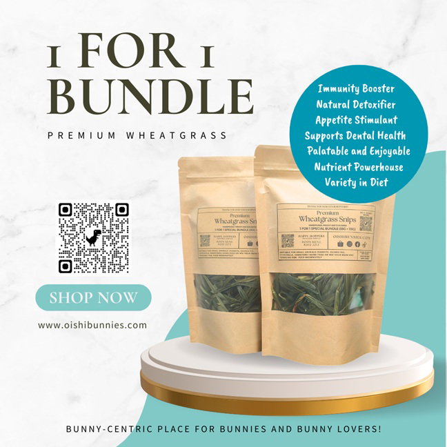 1 For 1 Special Bundle & Value Pack - Premium Wheatgrass Shoot