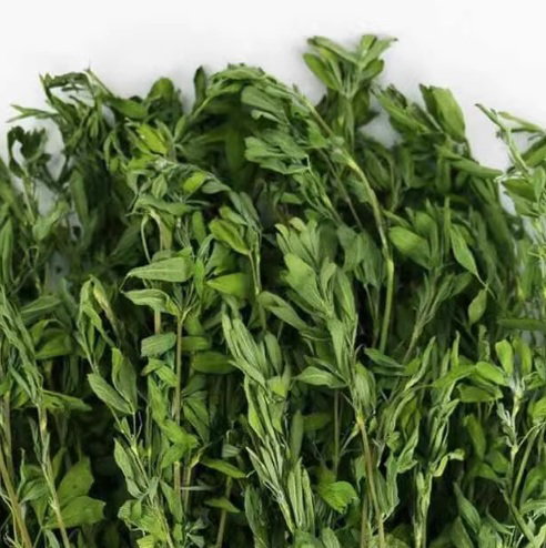 1 For 1 Special Bundle -  Premium Alfalfa NomNom (35g + 35g)_1