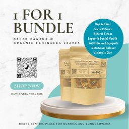 1 For 1 Special Bundle - Baked Banana Chips with Organic Dandelion Leaves/Echinacea Leaves (25g + 25g)