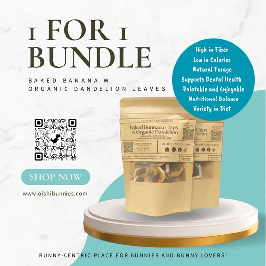 1 For 1 Special Bundle - Baked Banana Chips with Organic Dandelion Leaves/Echinacea Leaves (25g + 25g)_1