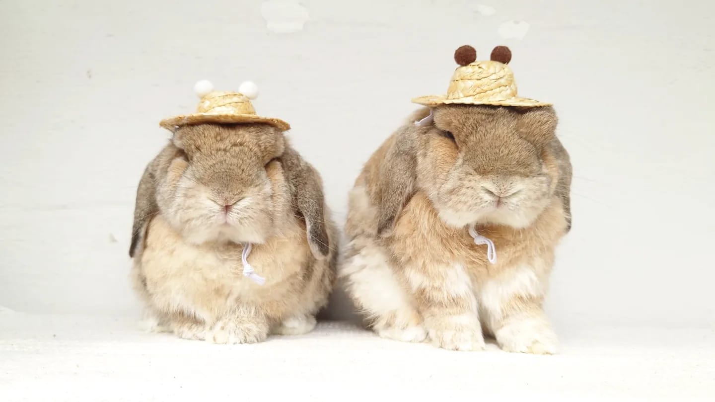 Handsewn Straw Hat_0