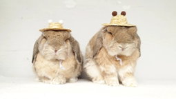 Handsewn Straw Hat